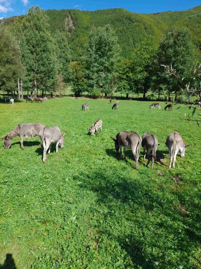 Mountain View Resort Gusinje Екстериор снимка